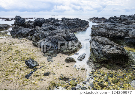屋久島國立公園栗尾海岸的秋天 124209977