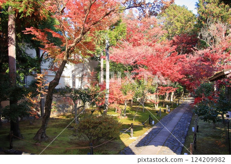 京都的紅葉:著名的紅葉景點、鮮為人知的紅葉景點:鹿王院 京都的紅葉:著名的紅葉景點、鮮為人知的紅葉景點:鹿王院 124209982