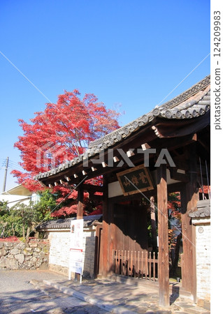 京都的紅葉:著名的紅葉景點、鮮為人知的紅葉景點:鹿王院 京都的紅葉:著名的紅葉景點、鮮為人知的紅葉景點:鹿王院 124209983