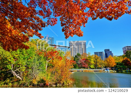 秋高氣爽的札幌中島公園的紅葉 秋高氣爽的札幌中島公園的紅葉 124210029