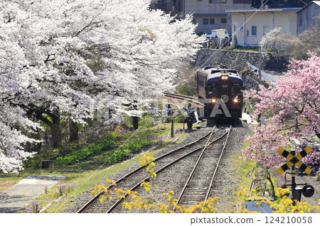 Spring Watarase Valley Railway Spring Watarase Valley Railway 124210058
