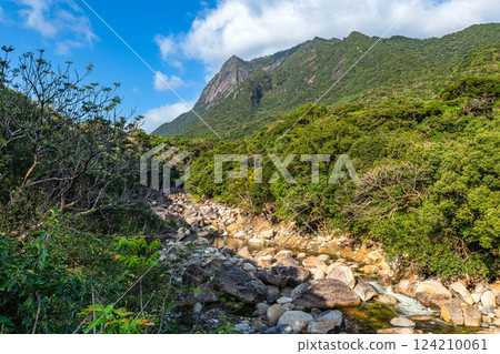 世界自然遺產 屋久島莫秋武山和台野河（秋季） 124210061