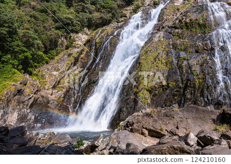 Yakushima National Park: The magnificent roar of Okawa Falls and a rainbow (November) Yakushima National Park: The magnificent roar of Okawa Falls and a rainbow (November) 124210160