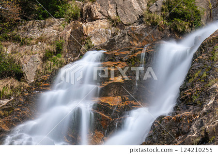 Elegant Okawa Falls, one of Japan's top 100 waterfalls, Yakushima National Park (Autumn) 124210255