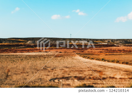 A field of dry grass under the blazing summer sun A steppe with yellowed grasses under clear blue sky. View of Spanish countryside. Autumnal landscape 124210314