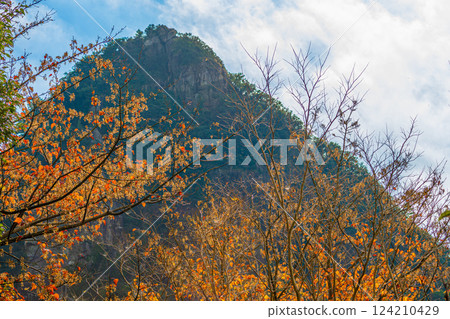 世界遺產屋久島陡峭山峰的紅葉（冬季） 124210429