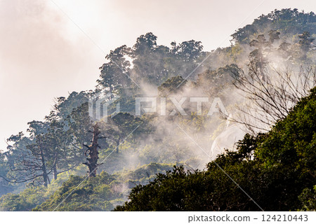 神靈居住的山屋久島看起來就像一幅水彩畫。 124210443