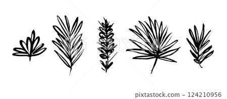 Floral set of artistic grunge textured vector black ink hand dawning tropical leaves, fern, palm leaf. Bold paintbrush botanical elements for textile pattern design, greeting card, logo 124210956