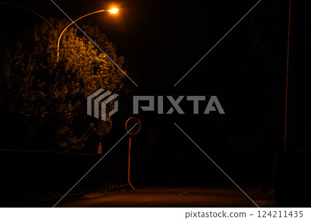 Night road 124211435