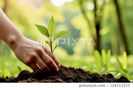 Tree planting | Nurturing nature 124211557