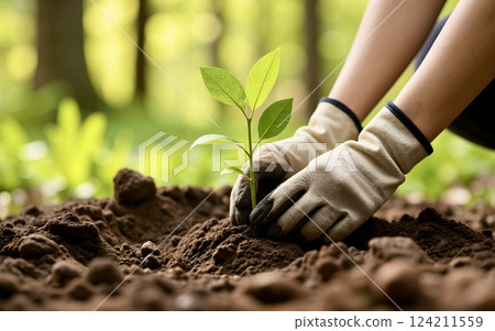 Tree planting | Nurturing nature 124211559