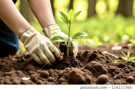 Tree planting | Nurturing nature Tree planting | Nurturing nature 124211560