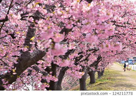 Invited by the cheerful spring Invited by the cheerful spring 124211778
