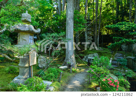 A stone lantern garden surrounded by greenery 124211862
