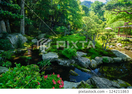 A fantastic garden surrounded by fresh greenery 124211863