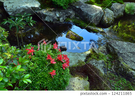A stream garden surrounded by greenery 124211865