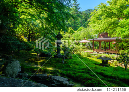 The garden of Chikurin-in Temple is surrounded by fresh greenery 124211866