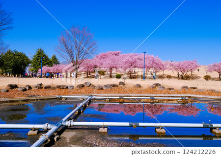 Kusabue Hill reflected in the pond 124212226