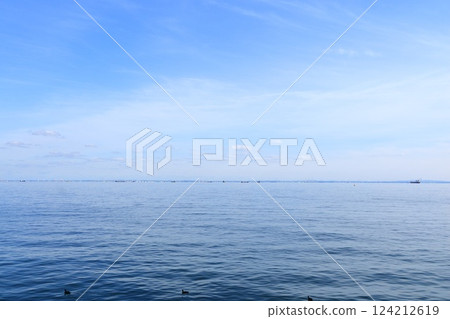 Tokyo Bay as seen from Urayasu City General Park, Urayasu City, Chiba Prefecture 124212619