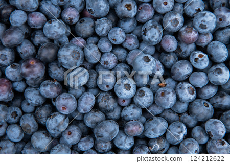 Close Up of Freshly Picked Blueberries Showcasing Natures Sweetness and Quality. Close Up of Freshly Picked Blueberries Showcasing Natures Sweetness and Quality. 124212622