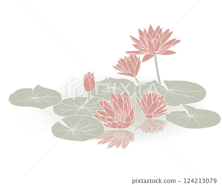 Water lily Water lily 124213079