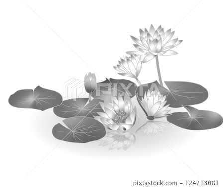 Water lily 124213081