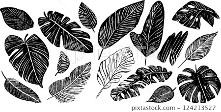 A collection of hand-drawn black and white leaves featuring various shapes and sizes, showcasing intricate details and textures. 124213527