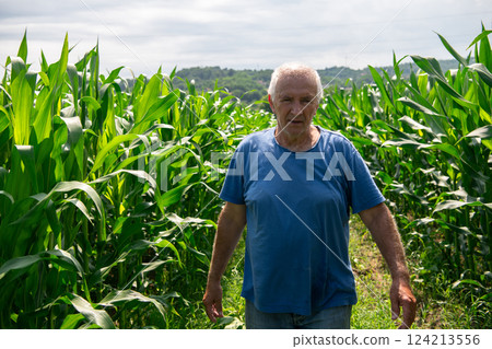 Senior Farmer Walking Through His Fields of Corn, Raspberries, and Blueberries. 124213556