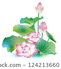 蓮花 124213660