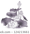 蓮花 124213661
