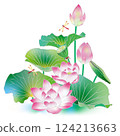 蓮花和蜻蜓 124213663