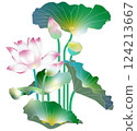 蓮花 124213667