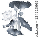 蓮花 124213669