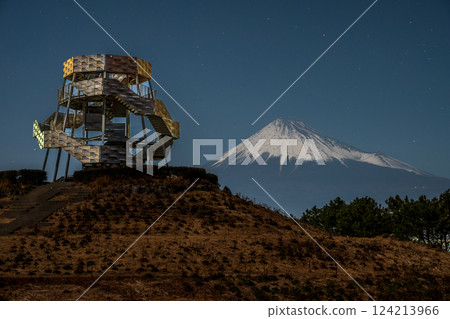 Dragon Tower and Mt. Fuji shining in the moonlight 124213966