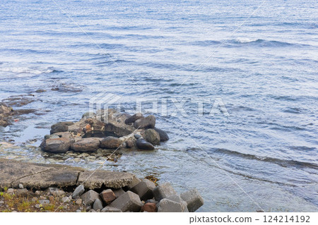 漱石溫泉 124214192