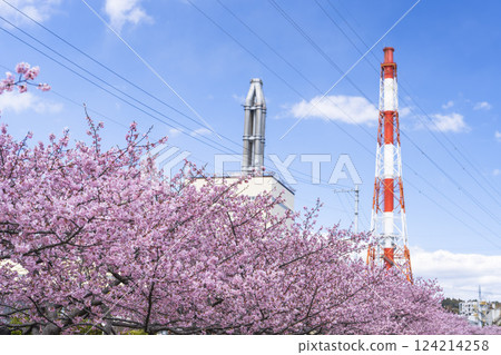 福島縣磐城市那古索發電廠的藍天和河津櫻花盛開 福島縣磐城市那古索發電廠的藍天和河津櫻花盛開 124214258
