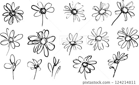 A collection of hand-drawn sketches of flowers, showcasing various styles and perspectives. The flowers are depicted in simple black lines on a white background, emphasizing their delicate shapes. 124214811