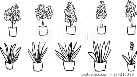 A collection of hand-drawn flower illustrations in pots, featuring various types of flowers and plants. The designs are simple and artistic, showcasing different shapes and sizes of blooms and leaves. A collection of hand-drawn flower illustrations in pots, featuring various types of flowers and plants. The designs are simple and artistic, showcasing different shapes and sizes of blooms and leaves. 124215389