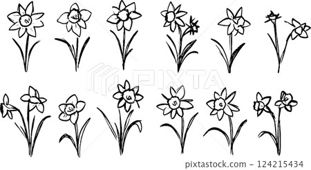 A collection of hand-drawn daffodil flowers in various styles and positions, showcasing their distinct petals and leaves. The illustrations are simple and artistic, suitable for floral designs. A collection of hand-drawn daffodil flowers in various styles and positions, showcasing their distinct petals and leaves. The illustrations are simple and artistic, suitable for floral designs. 124215434