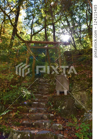 The Torii Gate of Suijingu Shrine in Hatonosu Valley, Tokyo 124215485