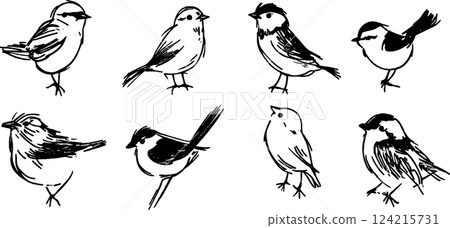 A collection of hand-drawn illustrations of various small birds, showcasing different poses and styles. The birds are depicted in a simplistic, artistic manner with black outlines on a white 124215731