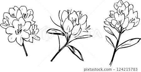 Three hand-drawn sketches of flowers, showcasing different angles and details. Each flower has multiple petals and leaves, emphasizing their natural beauty. Three hand-drawn sketches of flowers, showcasing different angles and details. Each flower has multiple petals and leaves, emphasizing their natural beauty. 124215783