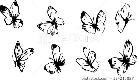 A collection of eight artistic black and white butterfly illustrations, showcasing various wing positions and styles, ideal for decorative or educational purposes. 124215827