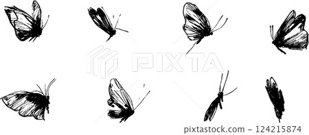 A collection of hand-drawn sketches of butterflies in various poses and angles, showcasing their delicate wings and intricate details. 124215874