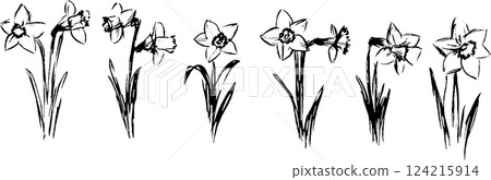 A series of hand-drawn daffodil flowers in various stages of bloom, showcasing their distinct trumpet-shaped petals and slender green stems. 124215914