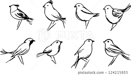 A collection of eight hand-drawn sketches of various birds, showcasing different poses and styles. The birds are illustrated in a minimalist, black and white line art style. A collection of eight hand-drawn sketches of various birds, showcasing different poses and styles. The birds are illustrated in a minimalist, black and white line art style. 124215955