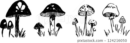 A collection of hand-drawn mushrooms in various shapes and sizes, featuring distinct patterns and textures. The mushrooms are depicted in a whimsical style, surrounded by grass. A collection of hand-drawn mushrooms in various shapes and sizes, featuring distinct patterns and textures. The mushrooms are depicted in a whimsical style, surrounded by grass. 124216050