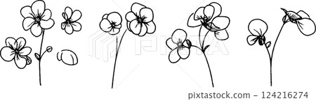 A series of hand-drawn flowers in various stages of bloom, showcasing delicate petals and slender stems. The illustrations are simple yet elegant, perfect for floral designs. 124216274