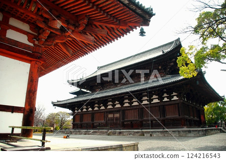 京都府東寺/近藤(國寶)京都市南區九條町 2022 年 2 月 京都府東寺/近藤(國寶)京都市南區九條町 2022 年 2 月 124216543