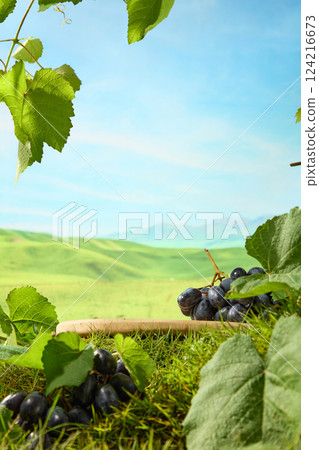 Low angle shot of a circular wooden tray on the lawn with a bunch of grapes obscured by green grape leaves. The grapes are deep purple with grapevines growing serve as decoration around  124216673